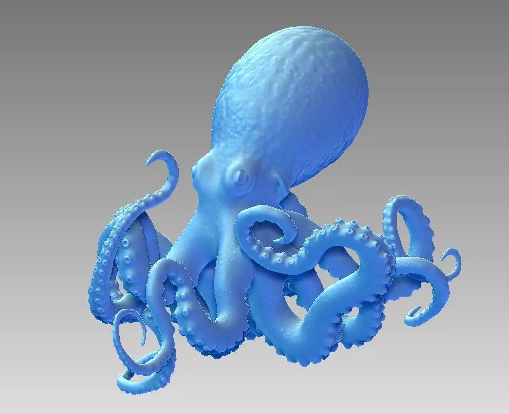 octopus 3D print model_0