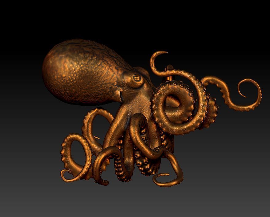 octopus 3D print model_4