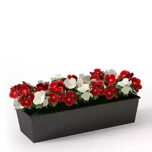 Simple Black Wooden Planter With Red And White Flowers