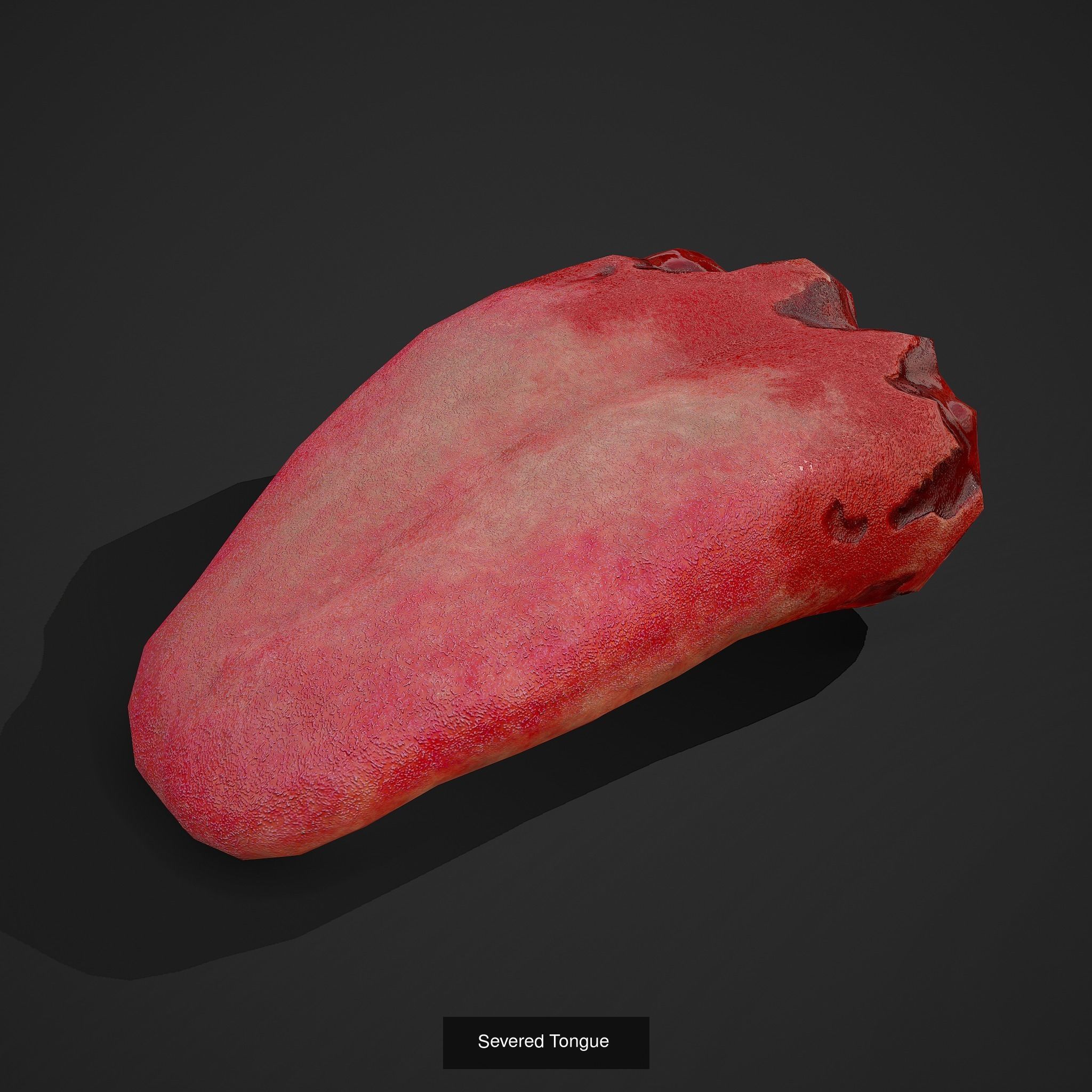 300 Medieval Props Pack 3D Model Collection_150