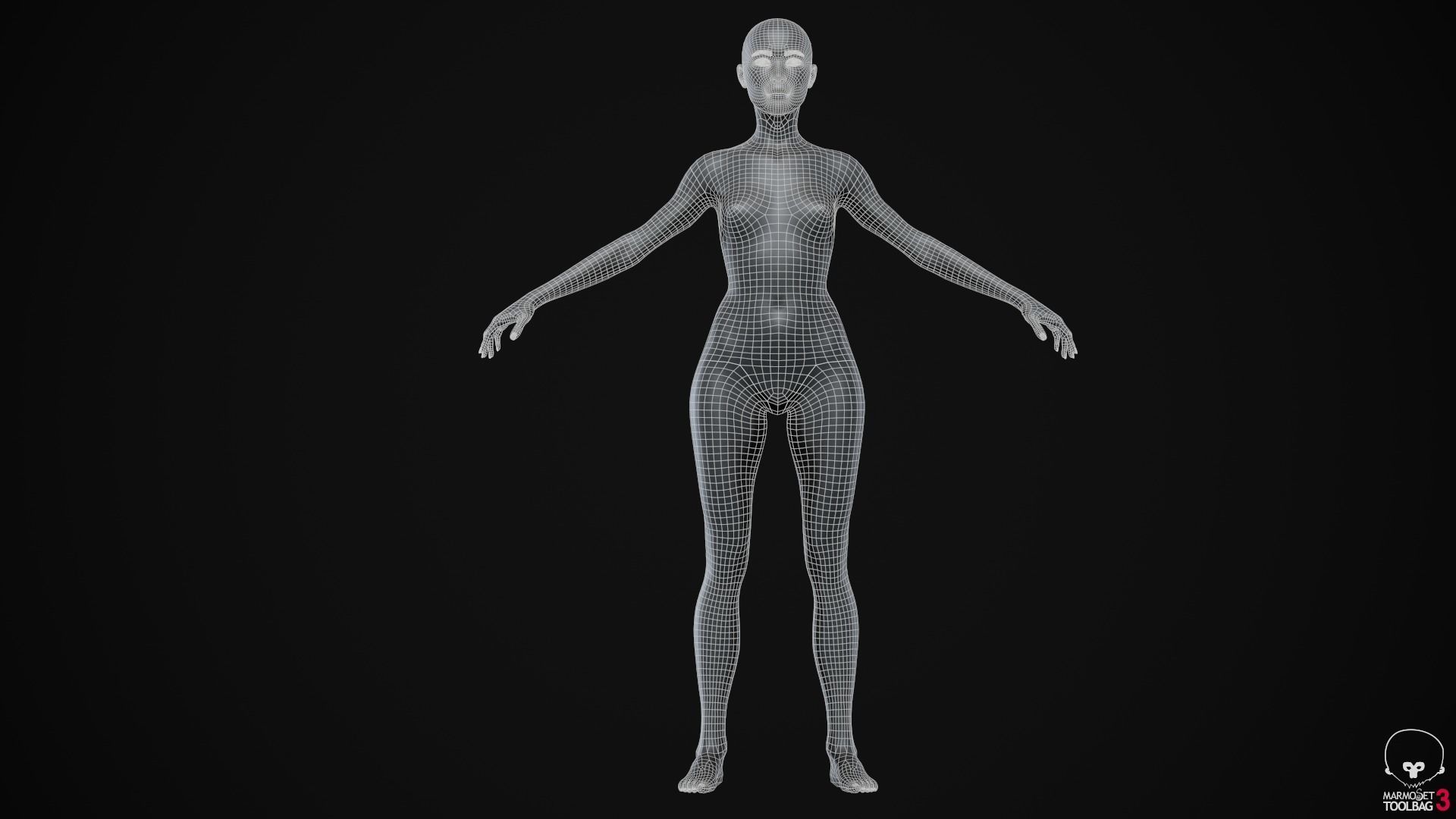 Woman body Low-poly 3D model_31