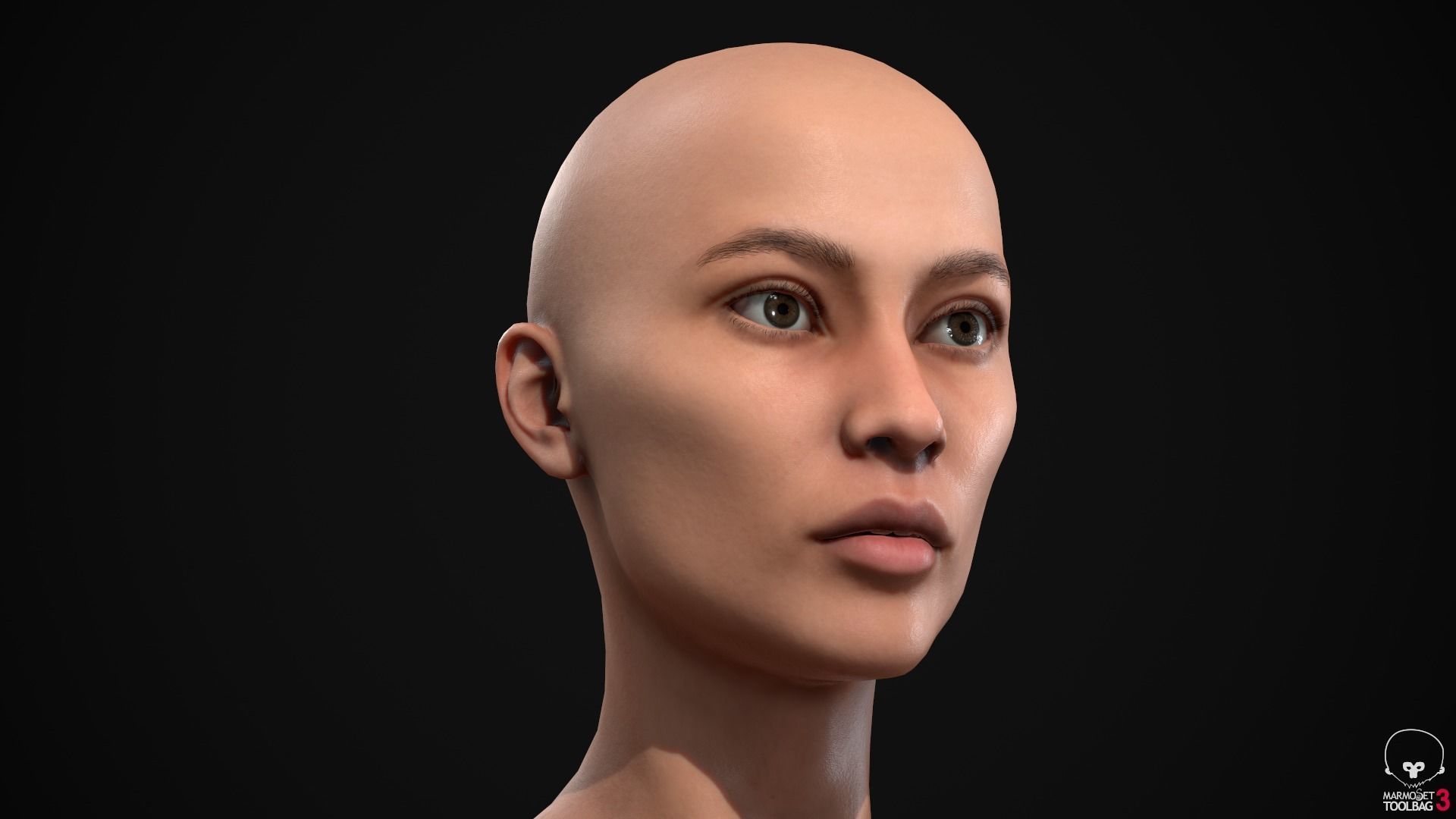 Woman body Low-poly 3D model_17