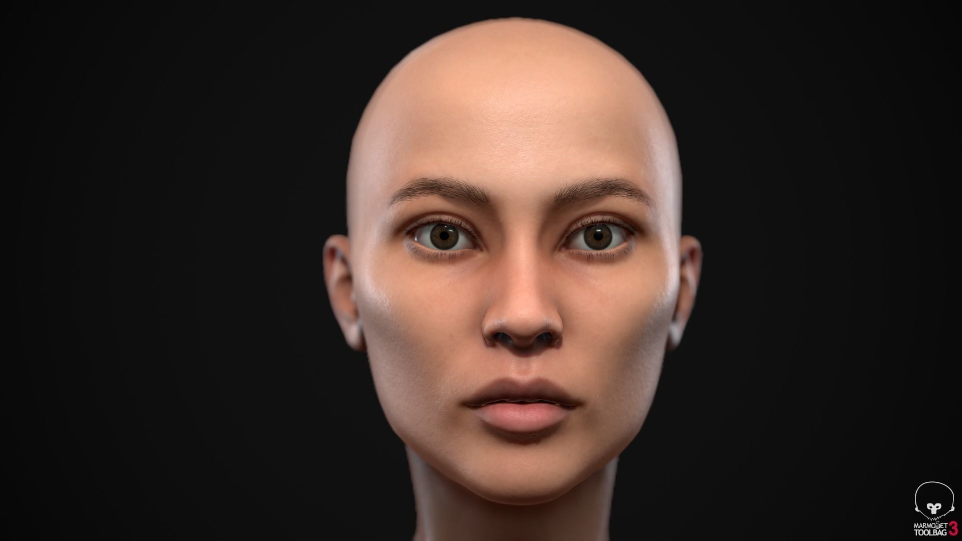 Woman body Low-poly 3D model_18