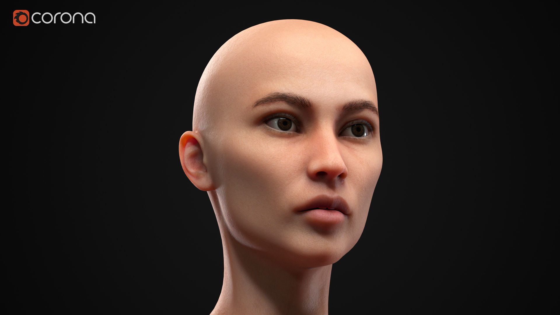 Woman body Low-poly 3D model_1