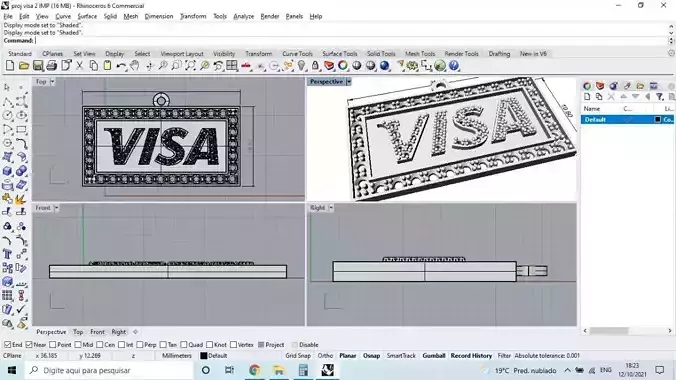 Visa pendant