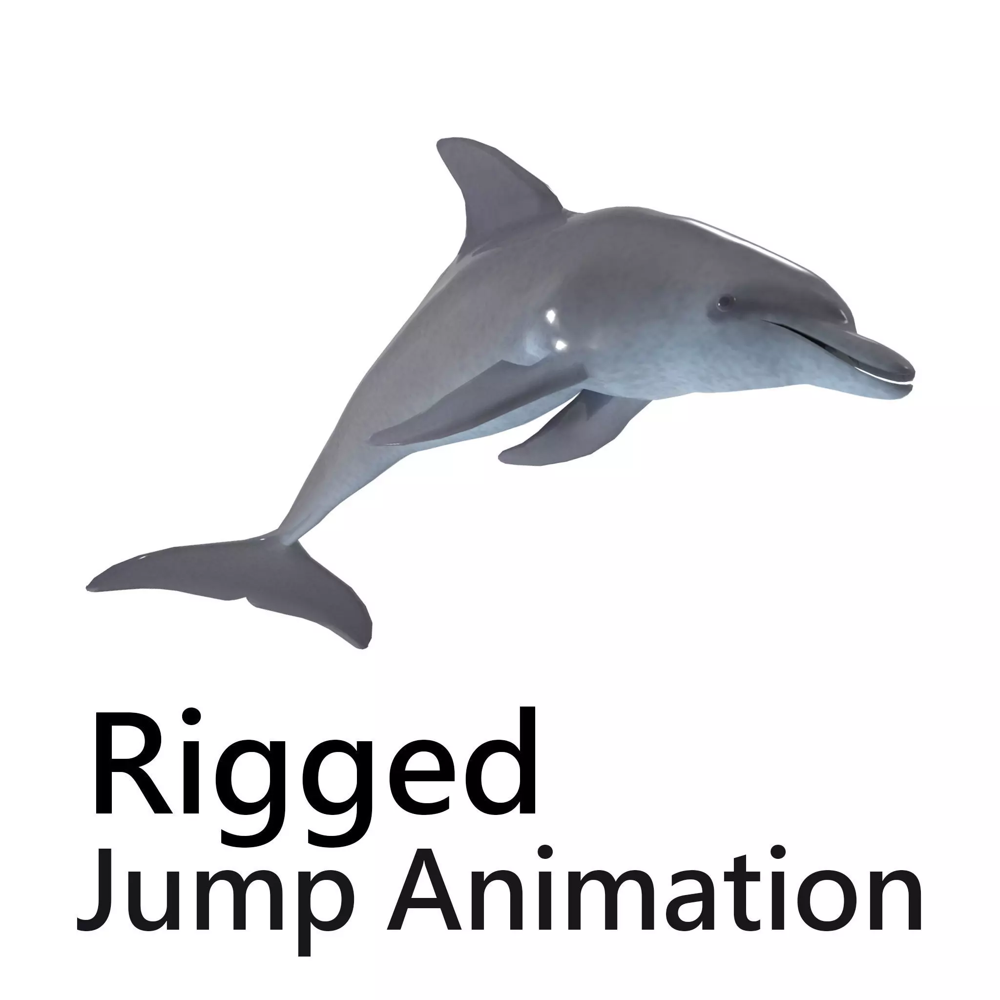Dolphin jump animation 3D model