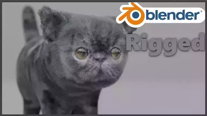 Exotic Shorthair Free 3D model