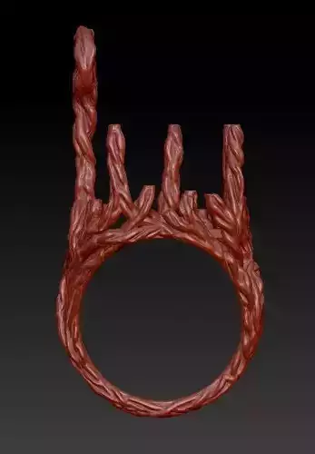 wood ring with a pattern 3D print model