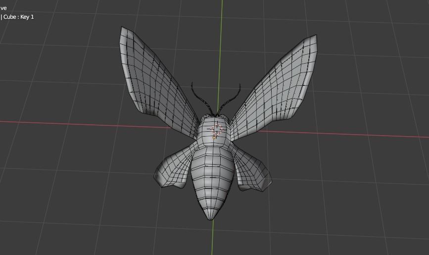 MOTH BUTTERFLY Low-poly 3D model_12