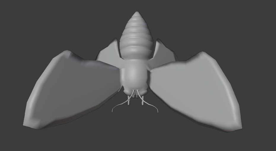 MOTH BUTTERFLY Low-poly 3D model_13