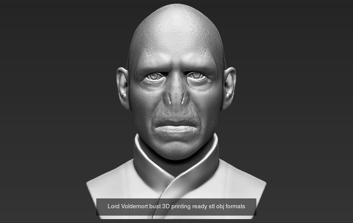 Harry Potter collection for 3D pritning Voldemort Dumbledore _1