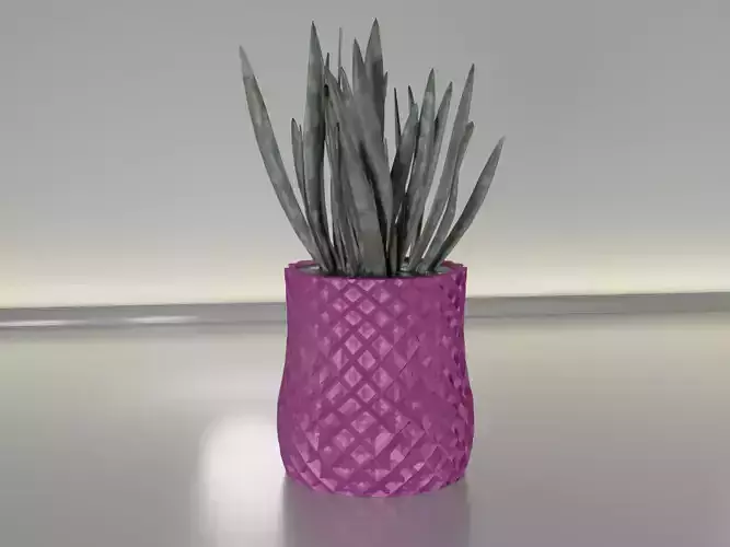 succulent plant pot 23