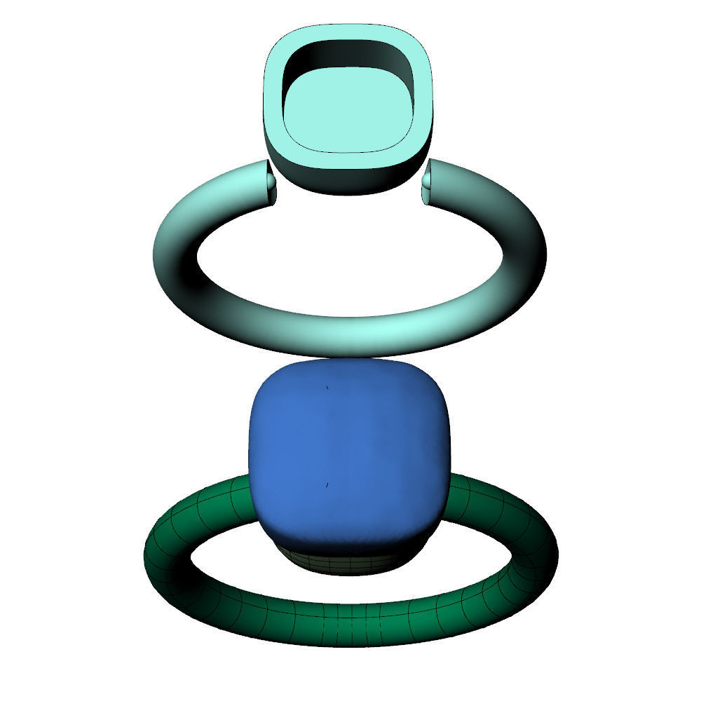 Nudo Petit Ring 3D print model_7