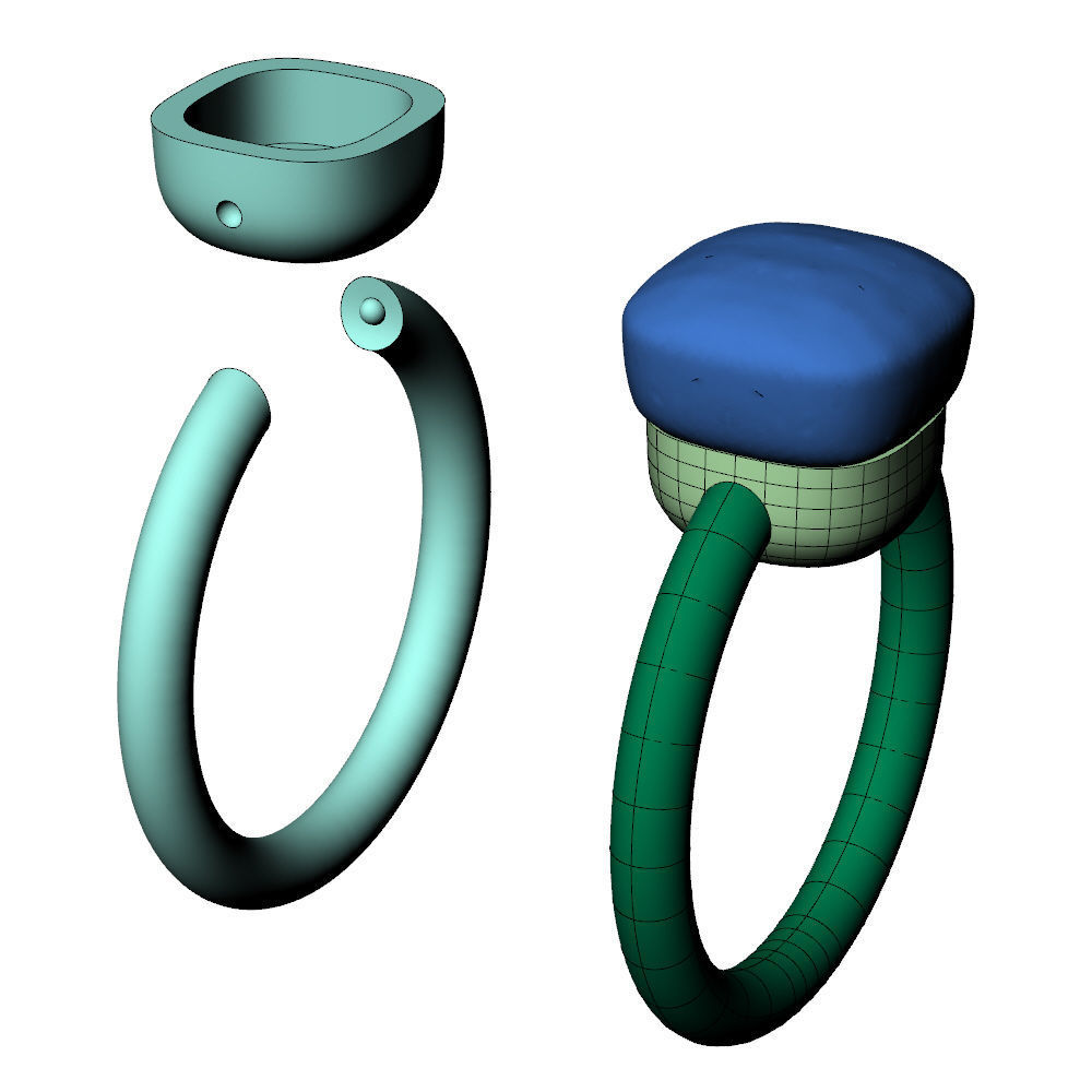 Nudo Petit Ring 3D print model_6