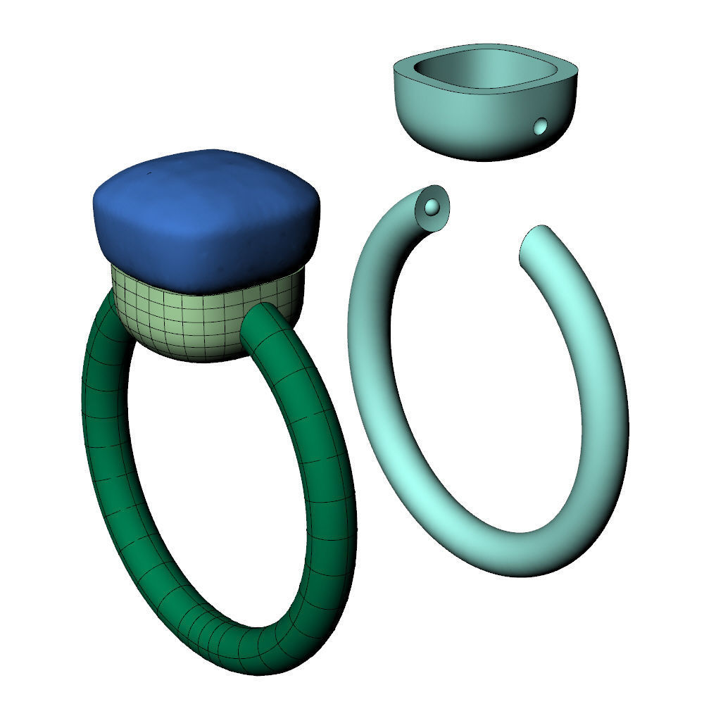 Nudo Petit Ring 3D print model_8