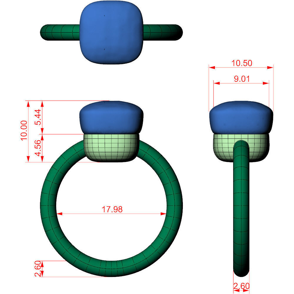 Nudo Petit Ring 3D print model_5