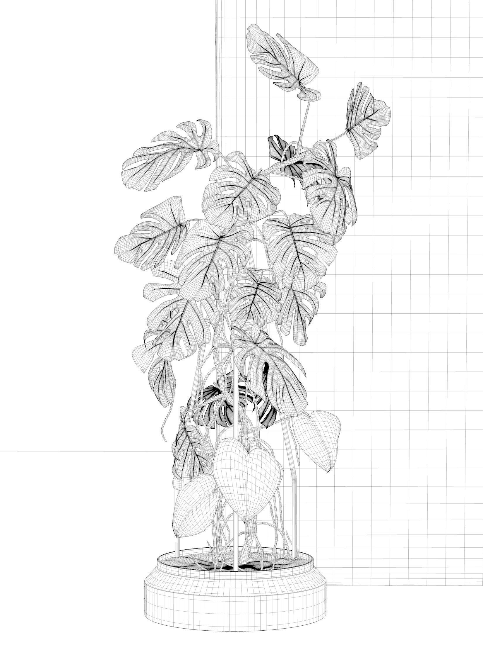 Monstera in Pot 3 3D model_3
