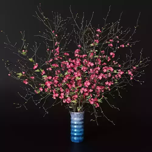 branches cherry flowers 3D model
