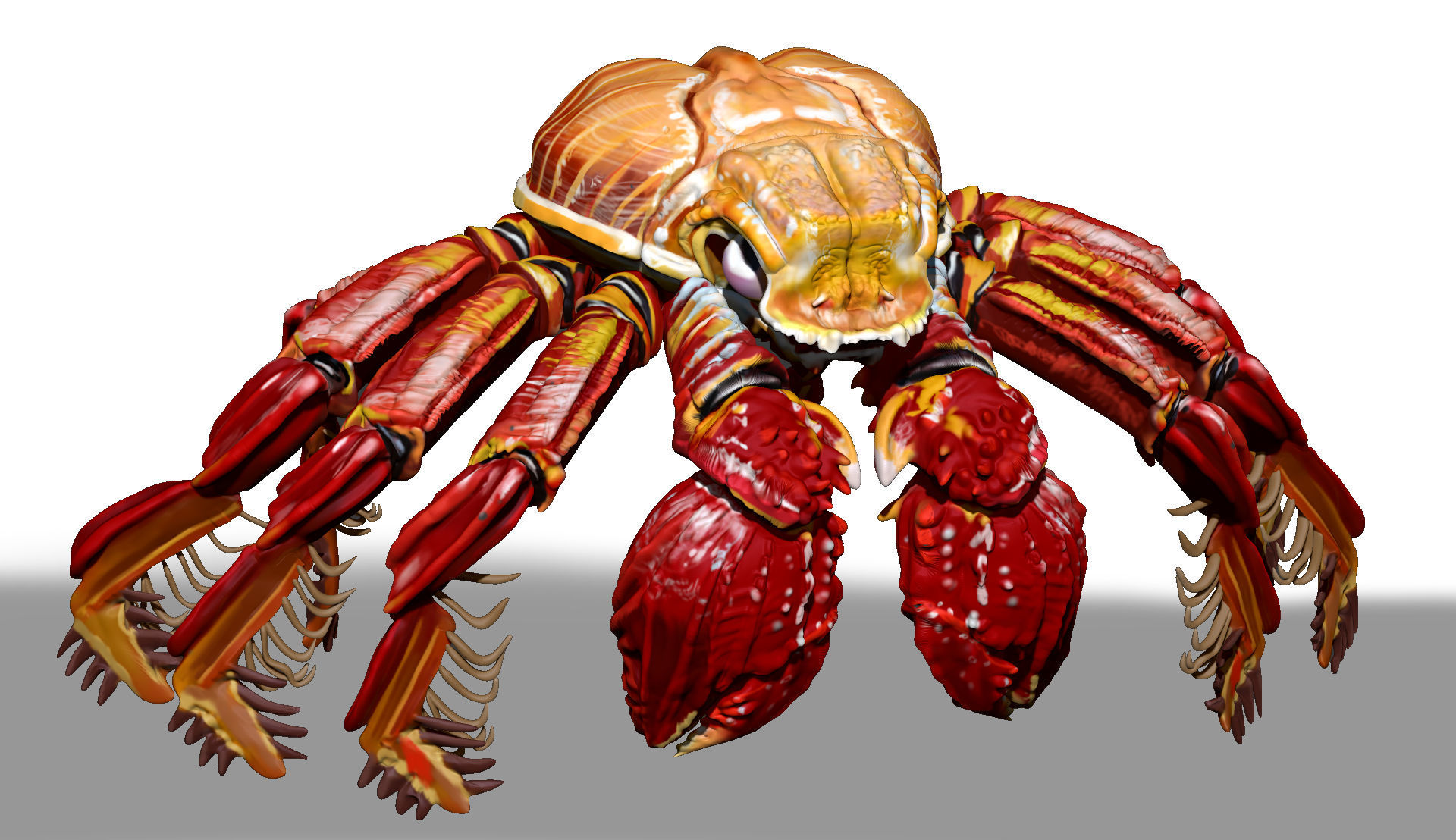 Red Crab ZTL ZBrush Sculpt 3D model_2