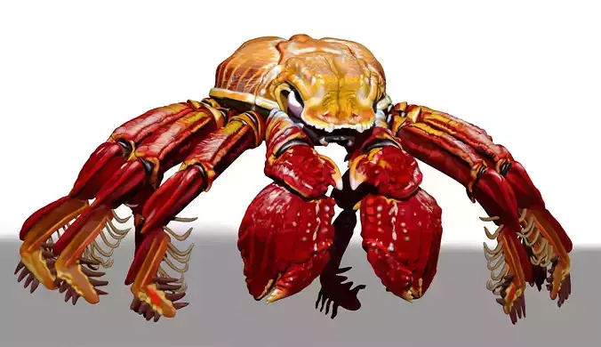 Red Crab ZTL ZBrush Sculpt