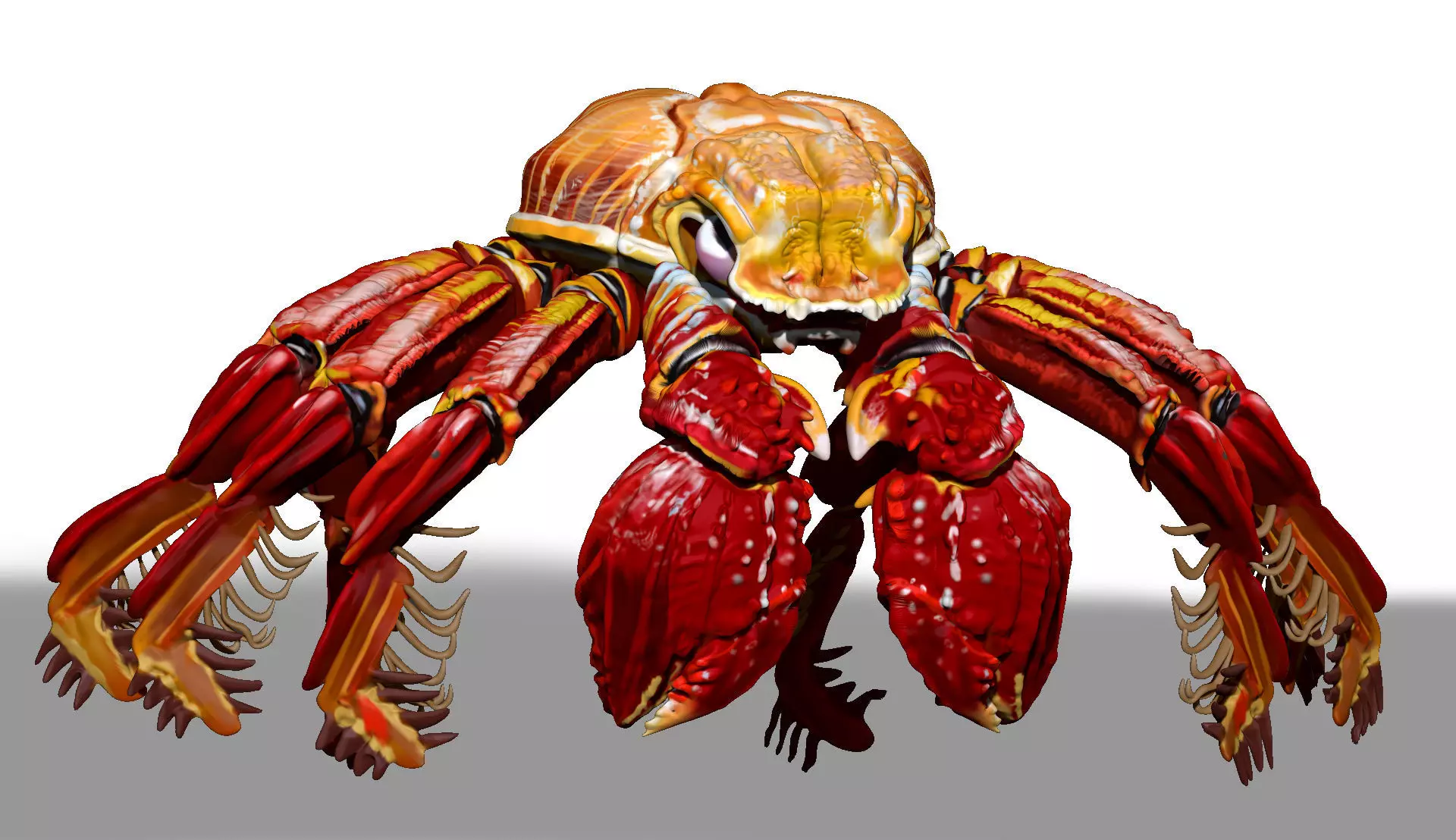 Red Crab ZTL ZBrush Sculpt 3D model_0