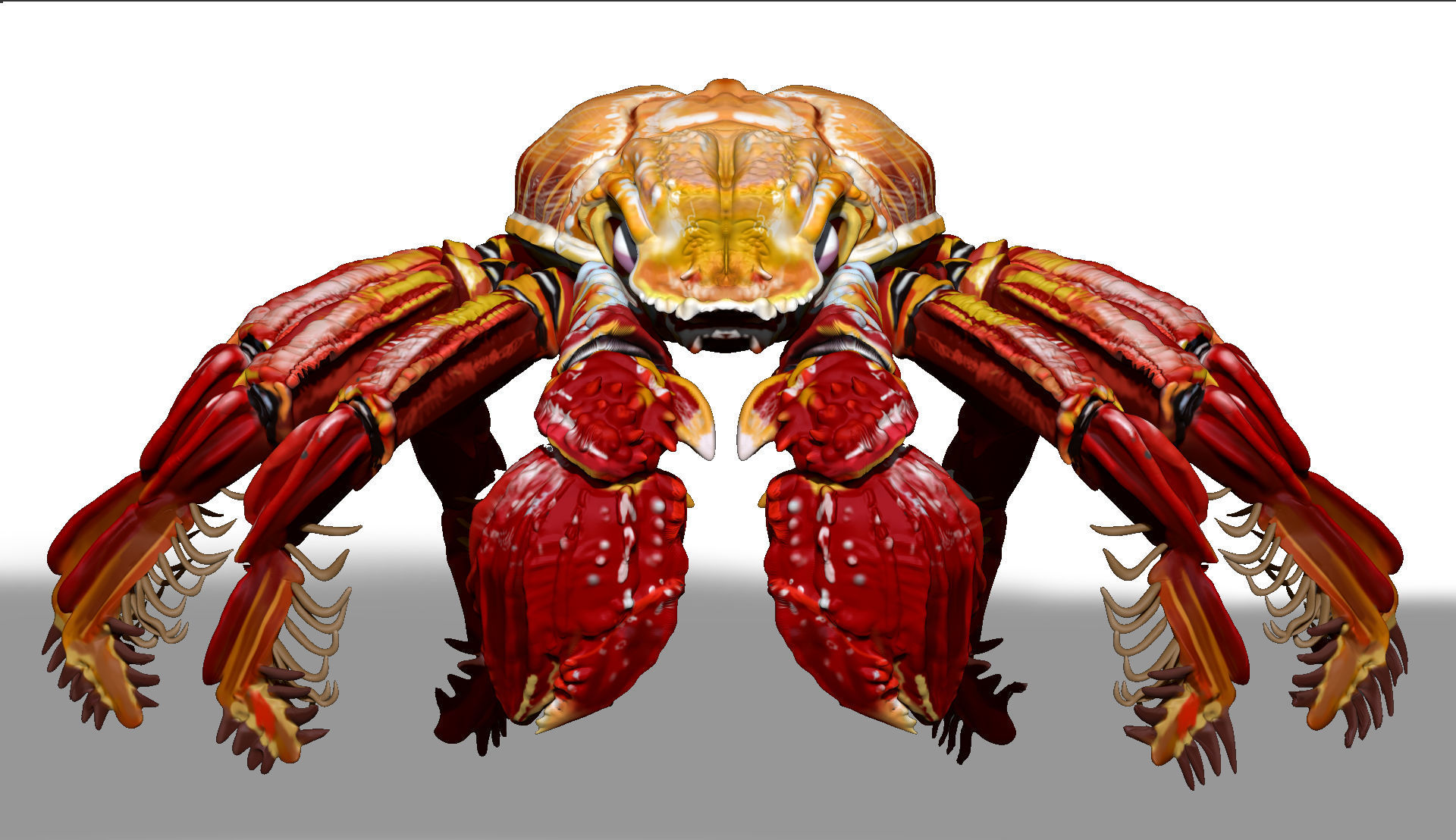 Red Crab ZTL ZBrush Sculpt 3D model_1