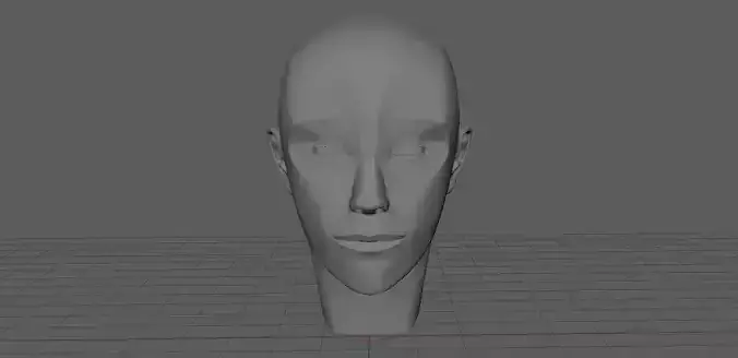 Human Anatomical Head Low-poly 3D model