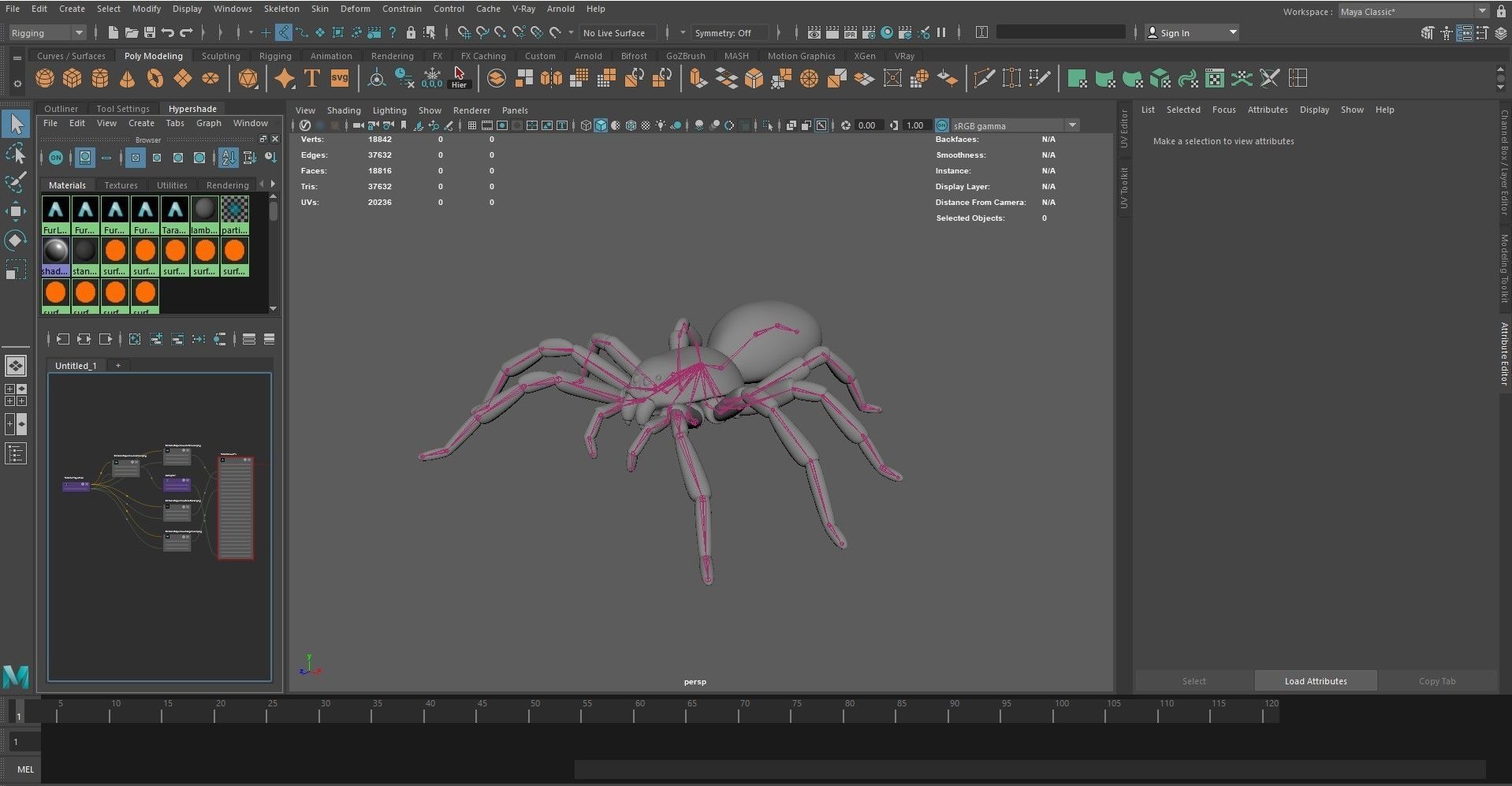 Tarantula Chromatopelma Low-poly 3D model_2
