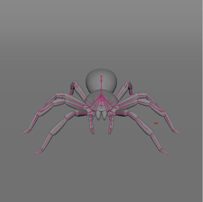 Tarantula Chromatopelma Low-poly 3D model_6