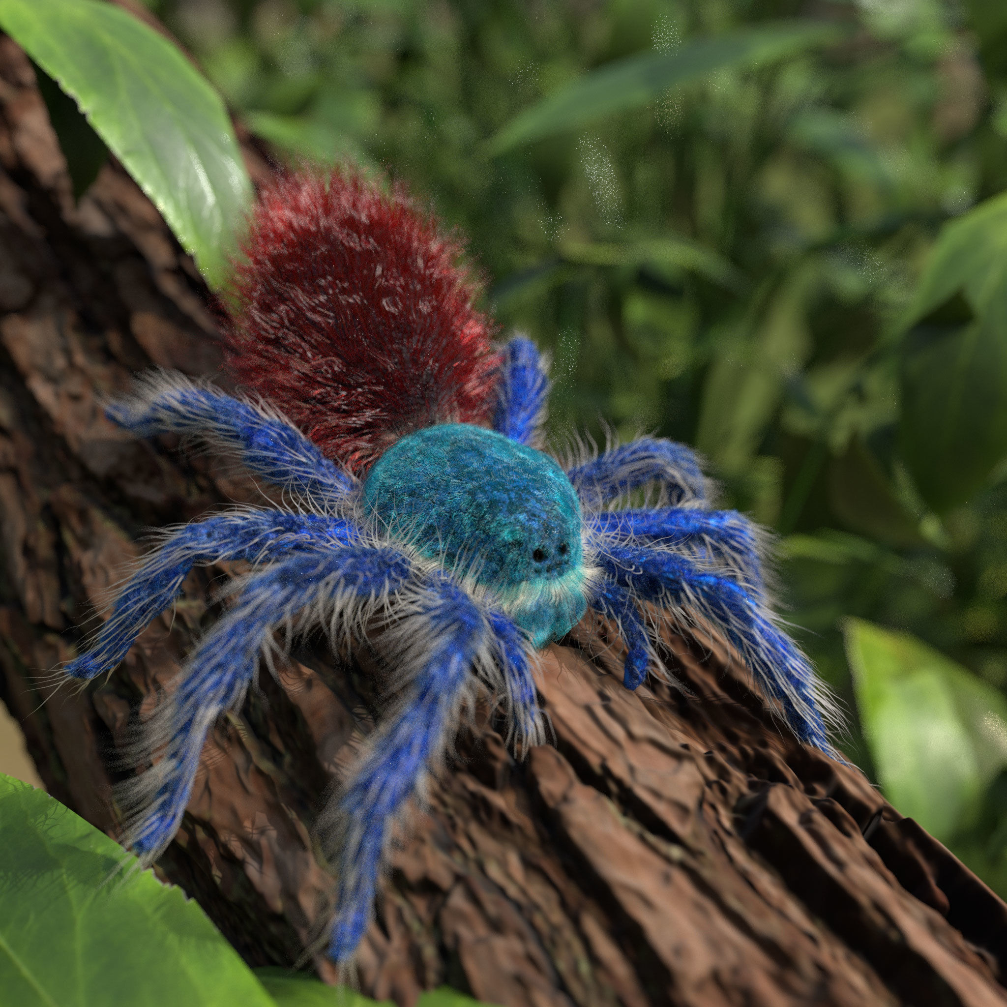 Tarantula Chromatopelma Low-poly 3D model_1