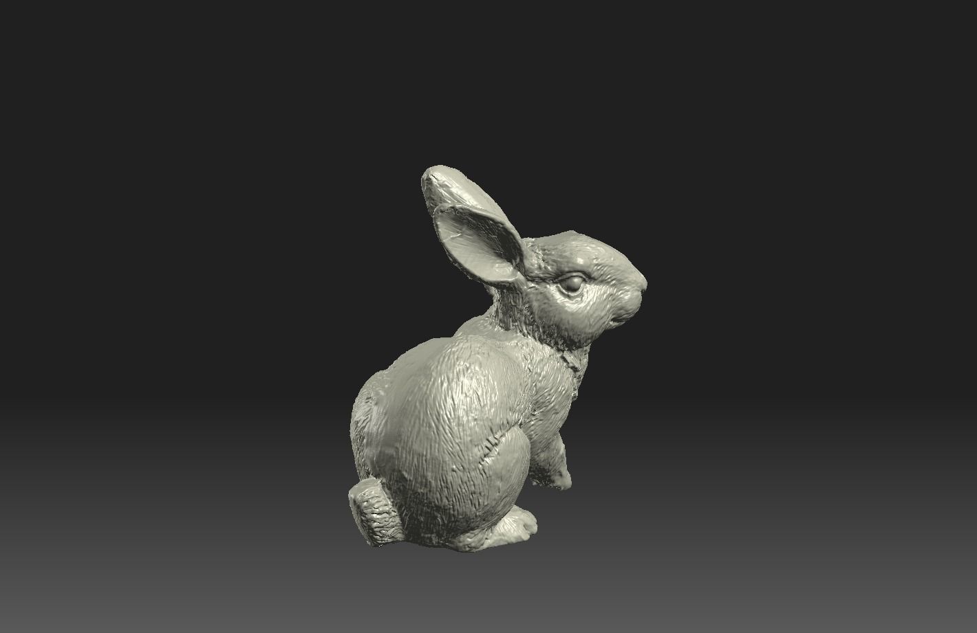 Easter Bunny 3D print model_10