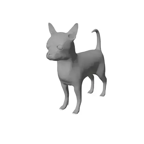 Small dog triangulate animal