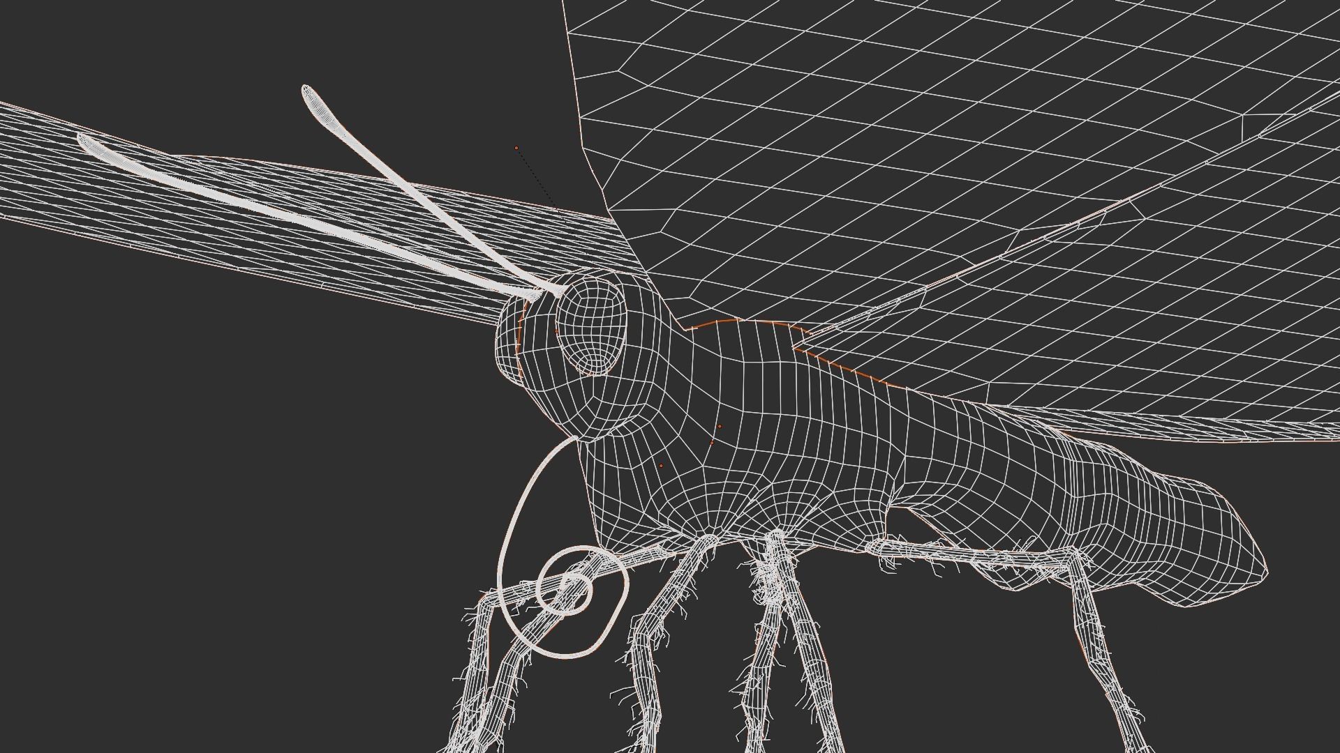 Monarch butterfly Low-poly 3D model_16