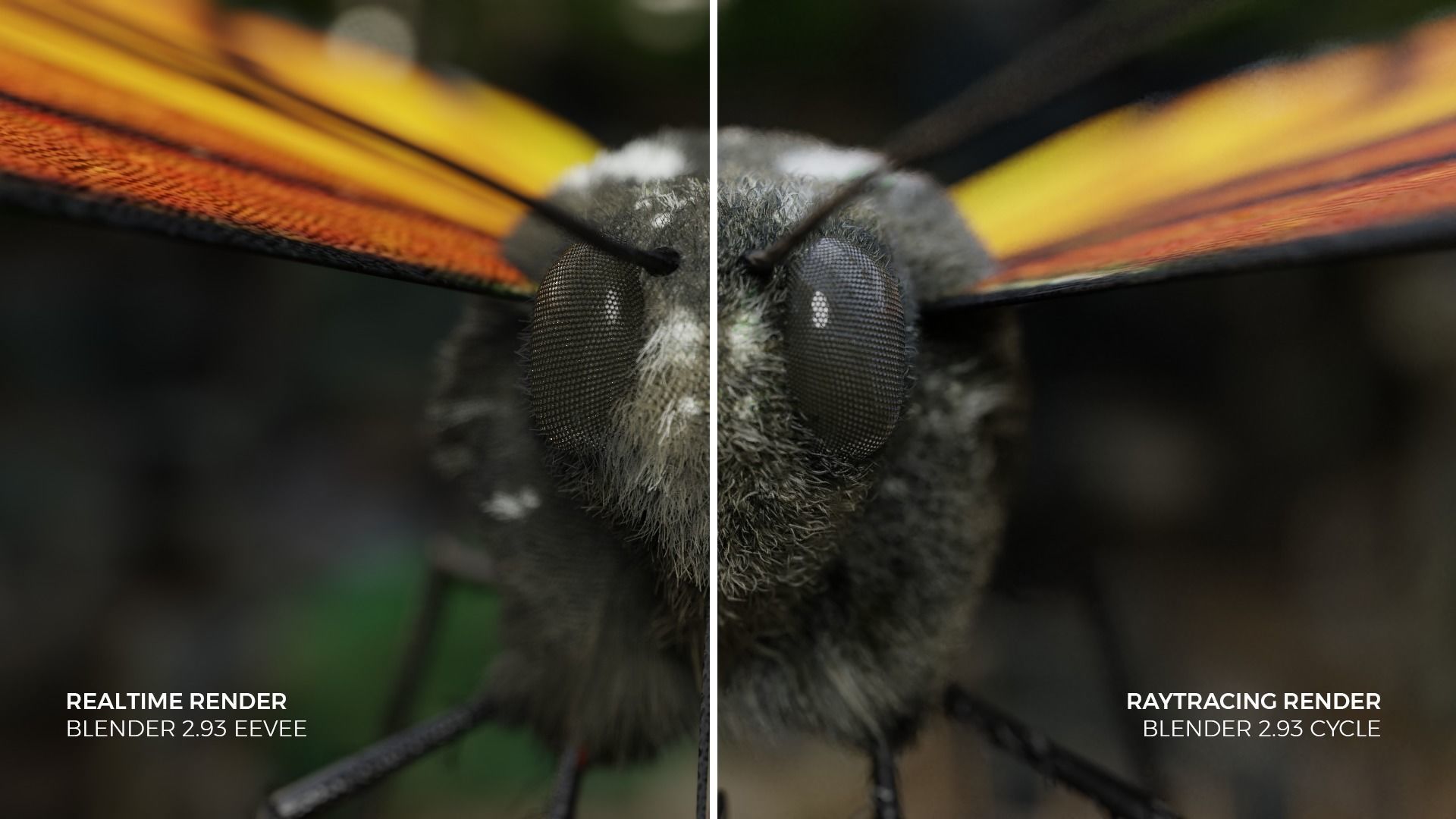 Monarch butterfly Low-poly 3D model_1