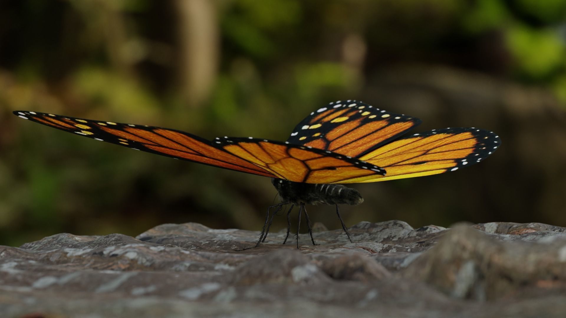 Monarch butterfly Low-poly 3D model_4