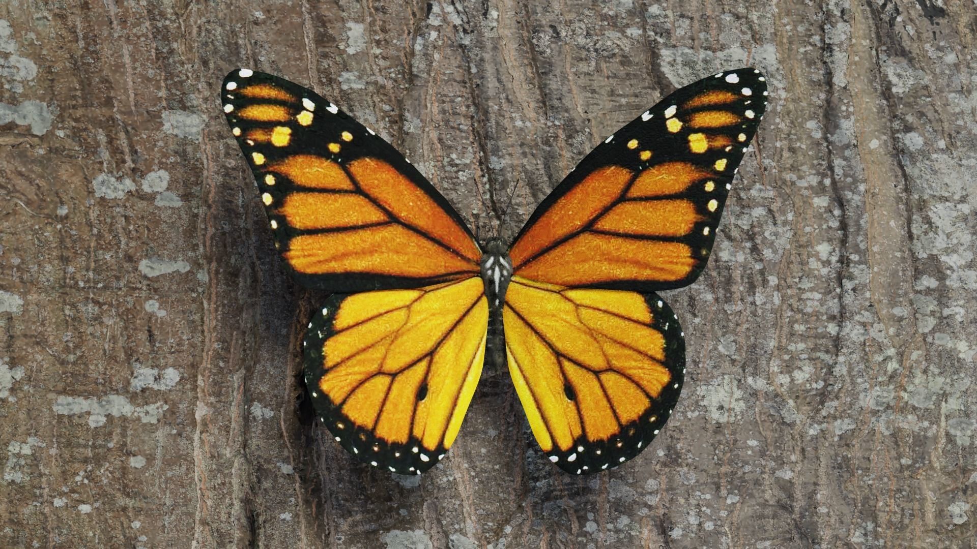 Monarch butterfly Low-poly 3D model_2