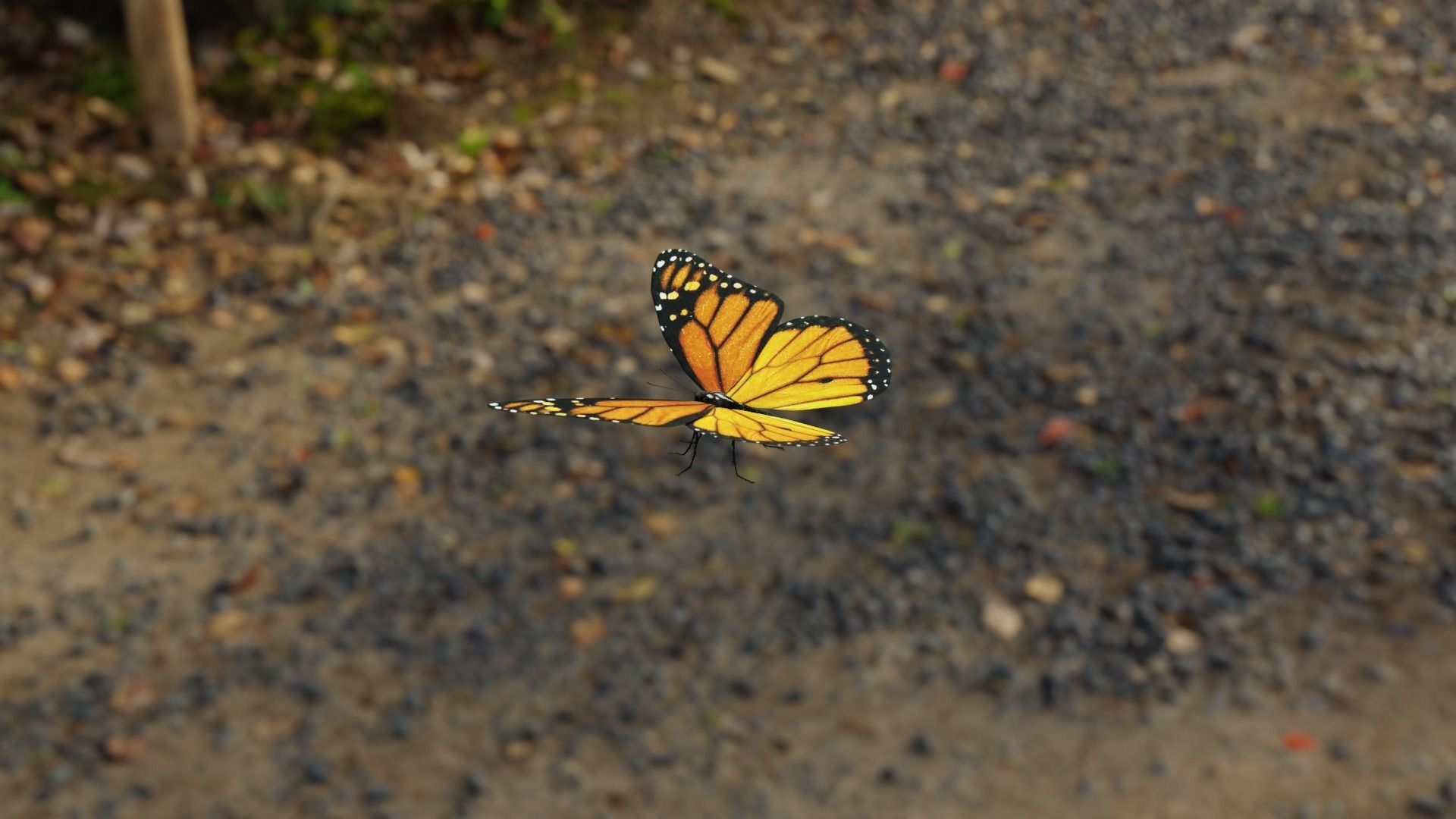 Monarch butterfly Low-poly 3D model_15