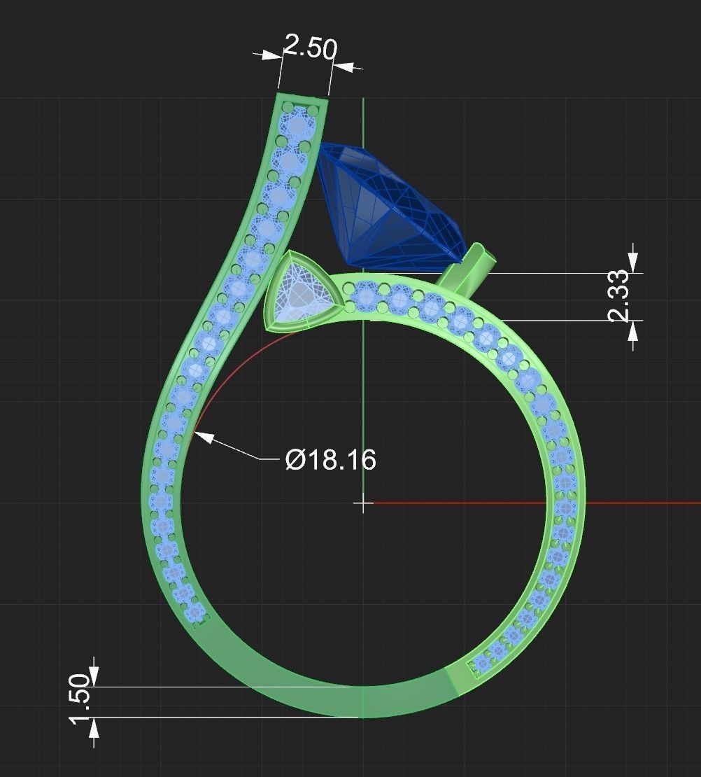 Ring 51 3D print model_7
