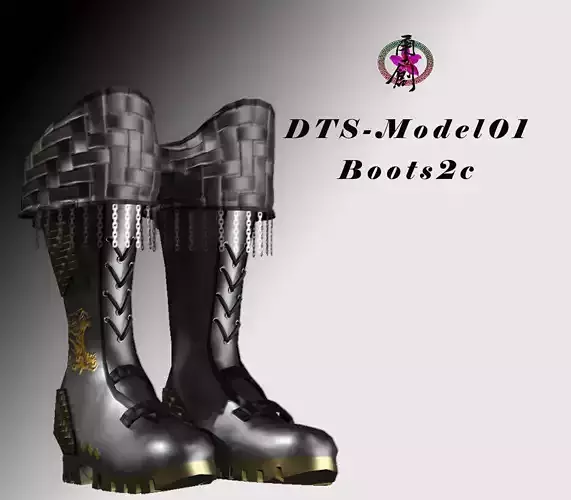 DTS-Model01-Boots2C pair of gold boots Low-poly 3D model