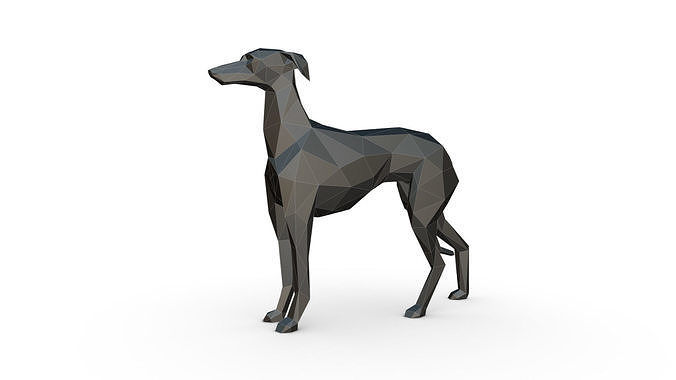 Italian Greyhound low poly 3D print model