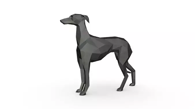 Italian Greyhound low poly