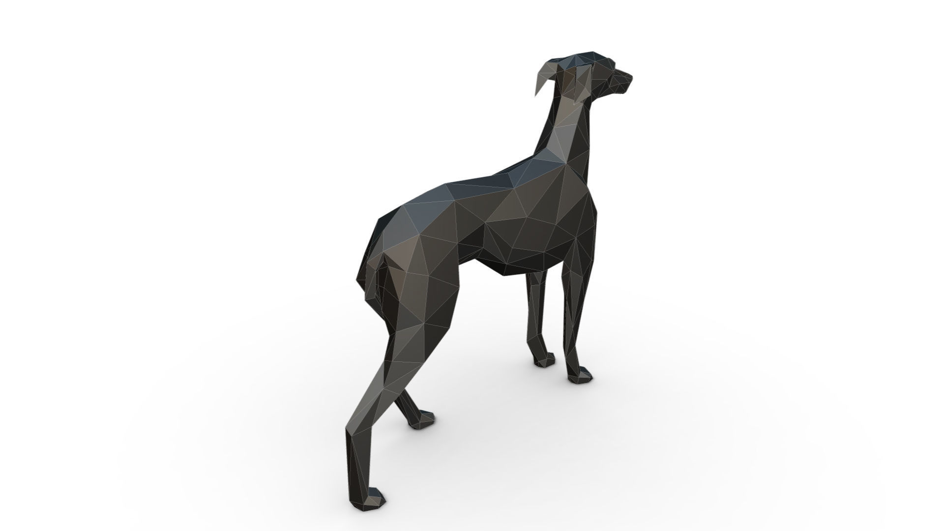 Italian Greyhound low poly 3D print model_3
