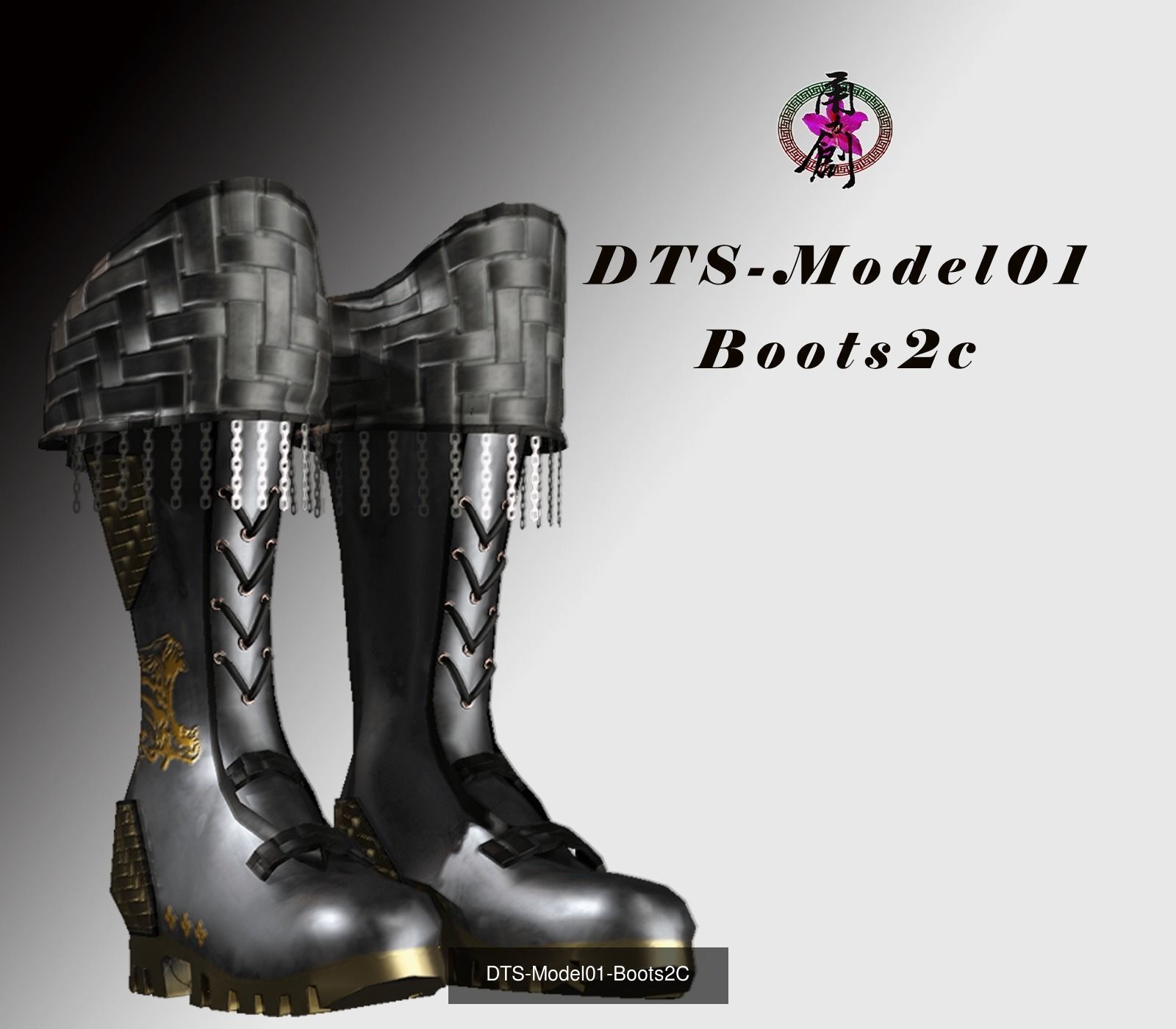 Fashion Boots Collection _11