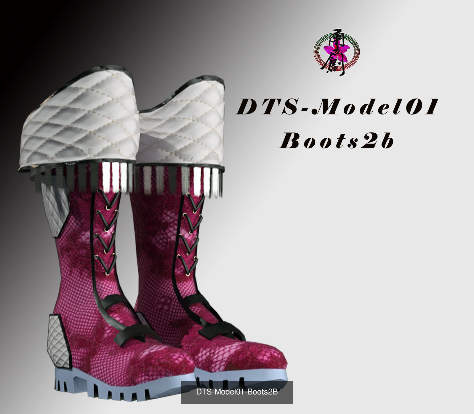Fashion Boots Collection _6