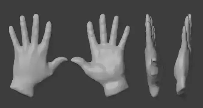 Male Left Hand - sculpted