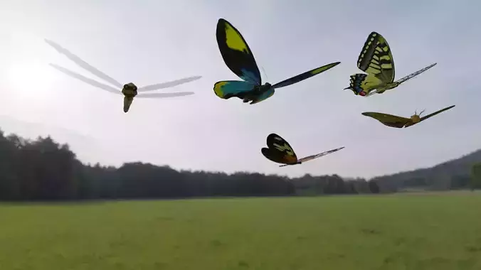 Blender 3D Insects Model 3D model