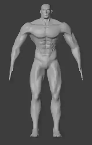 Male Base Mesh - Muscular