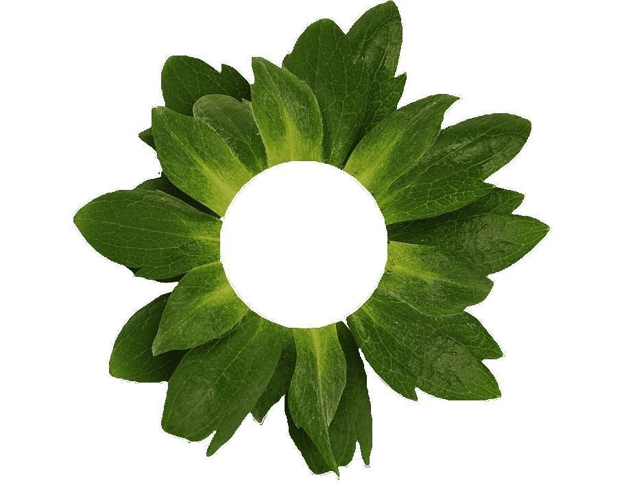 strawberry milk Free 3D model_2