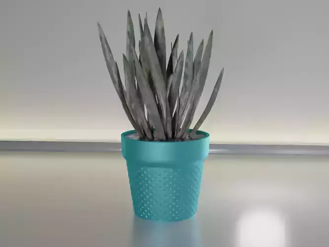succulent pot plant 24 3D print model