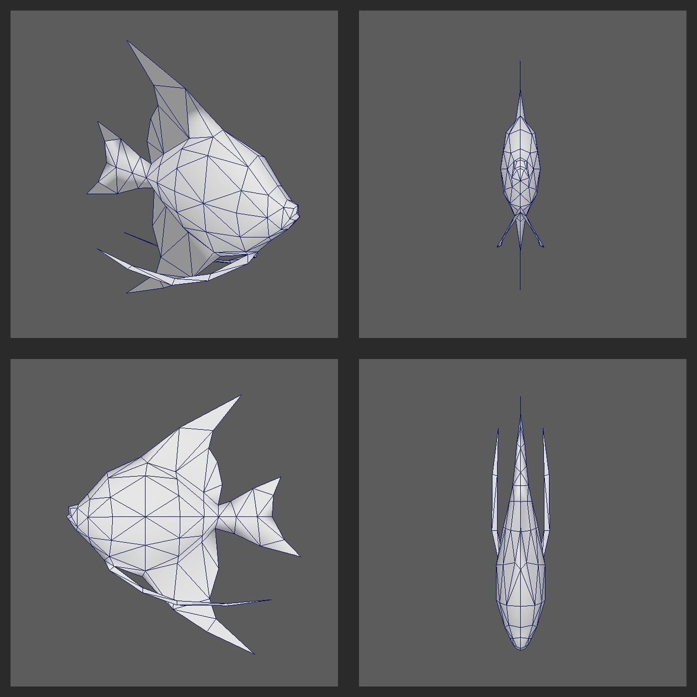 Angelfish angel fish Low-poly 3D model_4